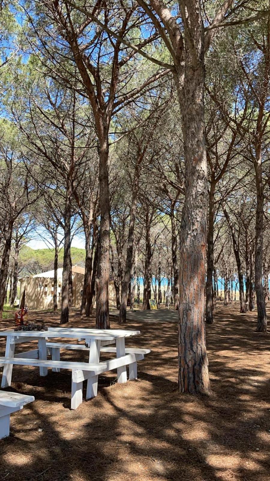 Sorres De Mare Villa Budoni Luaran gambar