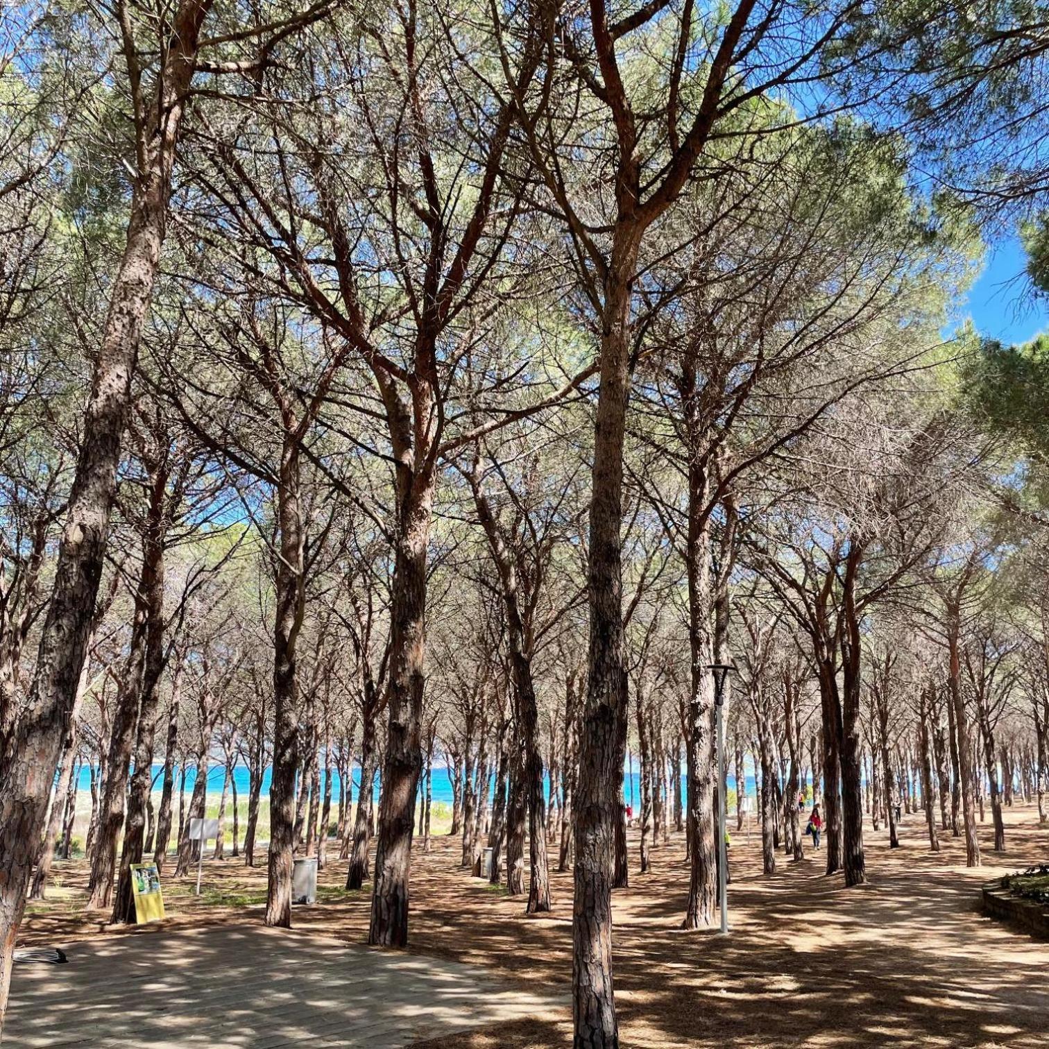 Sorres De Mare Villa Budoni Luaran gambar
