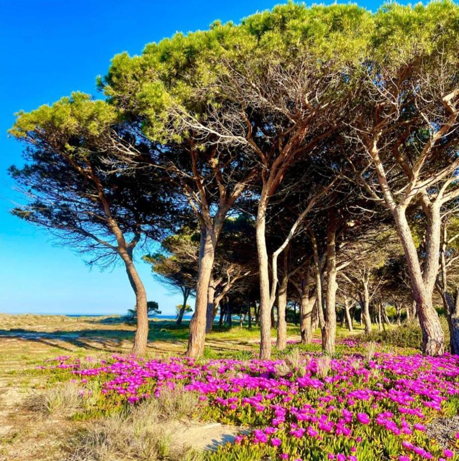Sorres De Mare Villa Budoni Luaran gambar